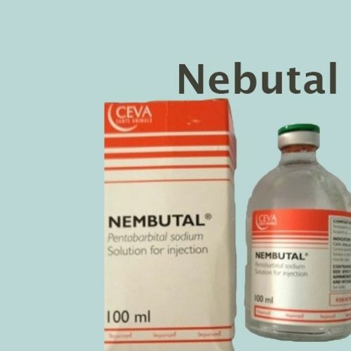 Acquista Nembutal in Italia